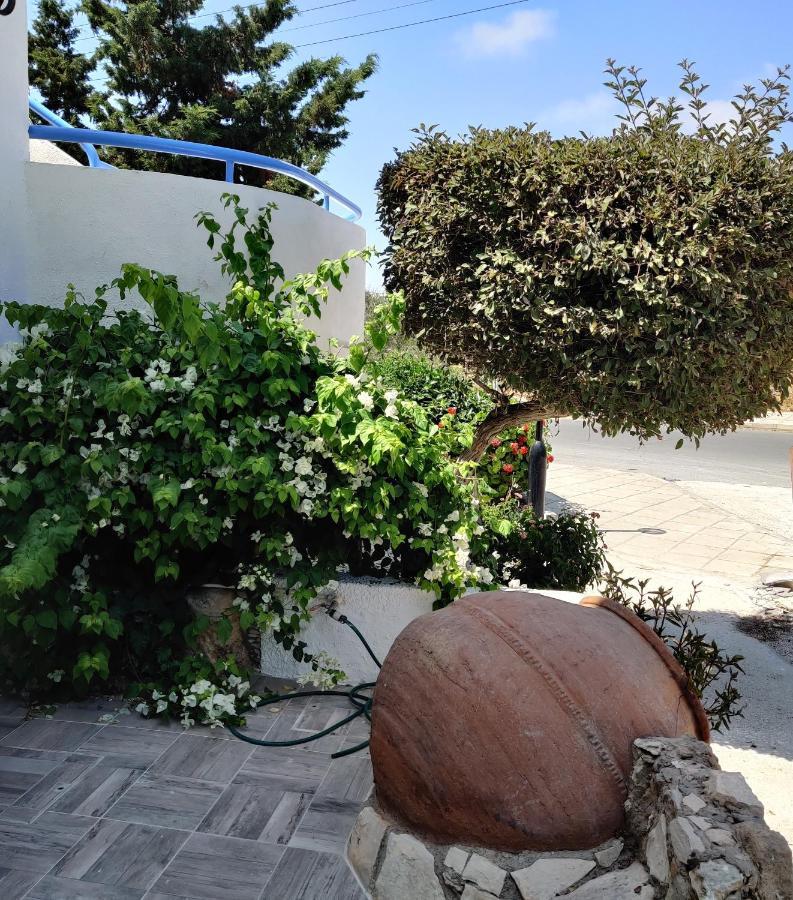 Lovely 1-Bedroom Unit @ Fabulous Location Pafos Dış mekan fotoğraf